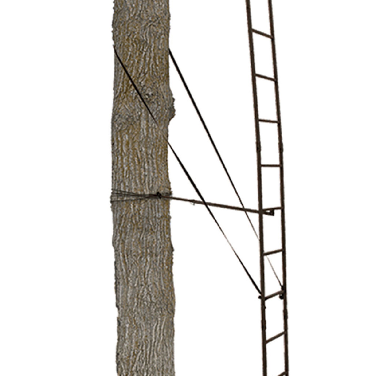 Big Game Warrior DXT 17' Deer Hunting Ladder Climbing Tree Stand w/Flex-Tek Seat