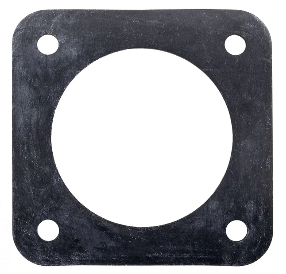 Gasket, Trap