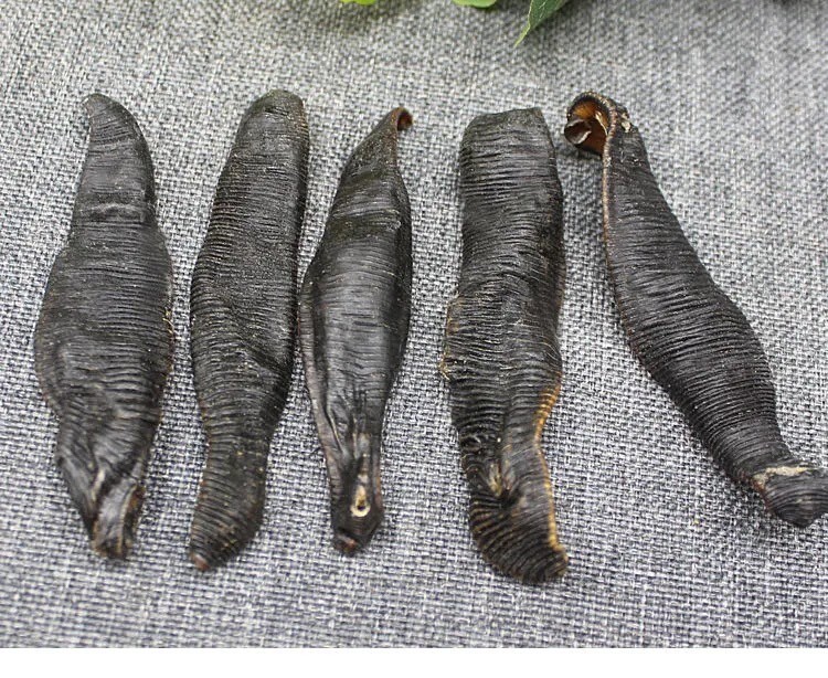 Natural Plant Longevity Recipe 泡酒料 养生长寿 宽体金边大水蛭干100克 非清水吊干