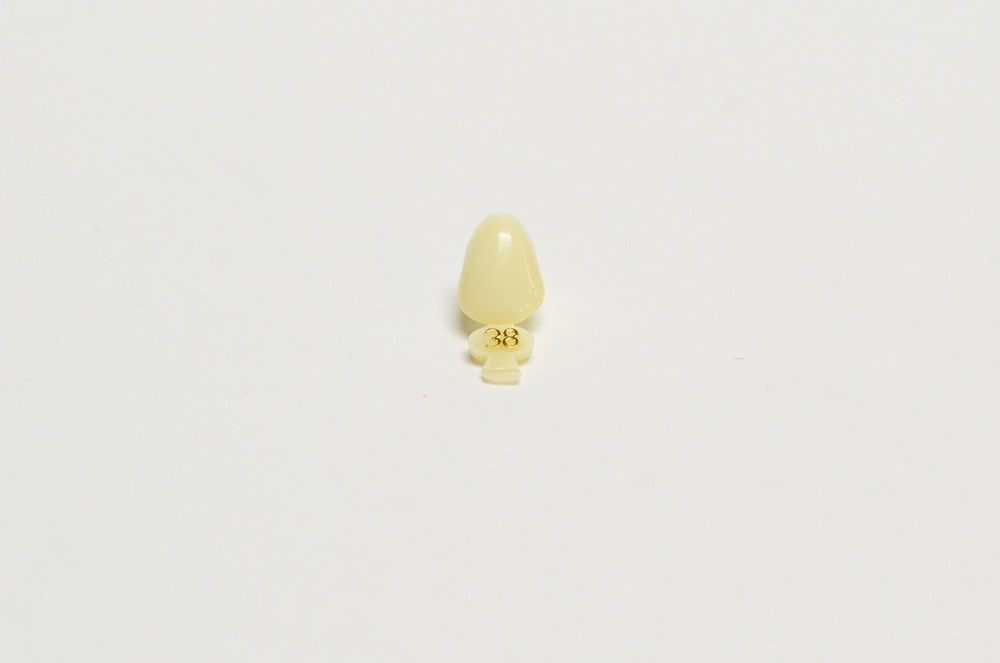 DENTAL POLYCARBONATE TEMPORARY CROWNS #38 (ULC) UPPER LEFT CUSPID 5/PACK