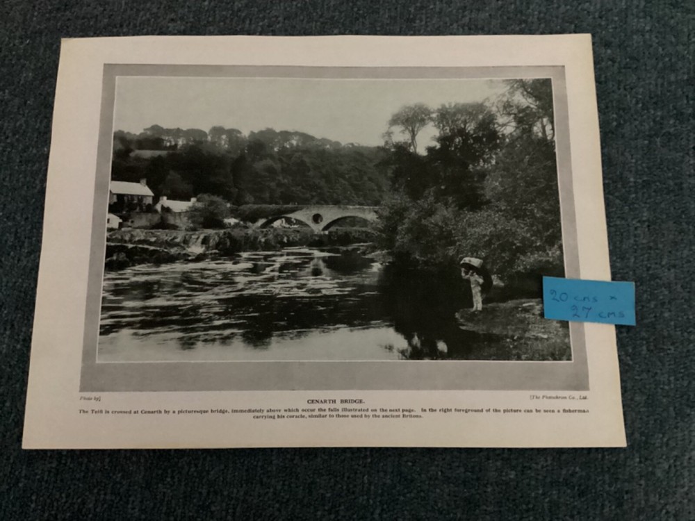 Antique print ,CENARTH BRIDGE, & CENARTH FALLS