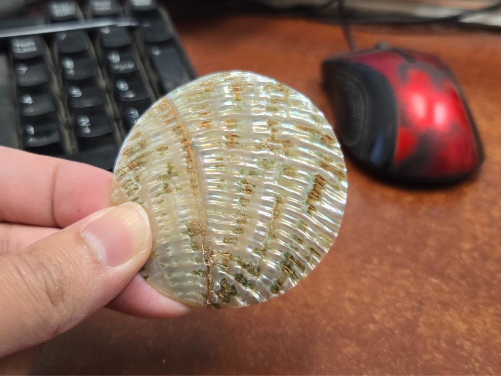 ROUND ABALONE SHELL BLANK DISC 60MM