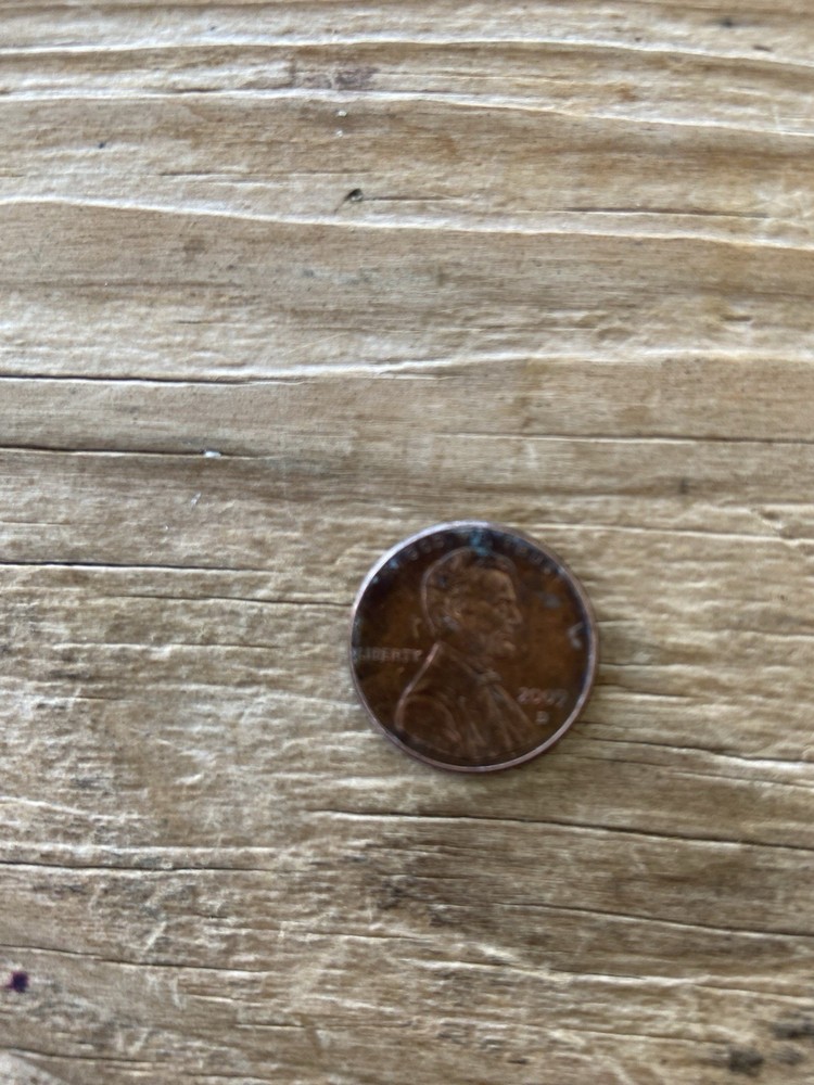 Professional Years 2009 D 4 Errors Lincoln Cent Penny