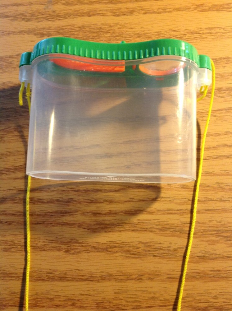 green orange and clear bug habitat