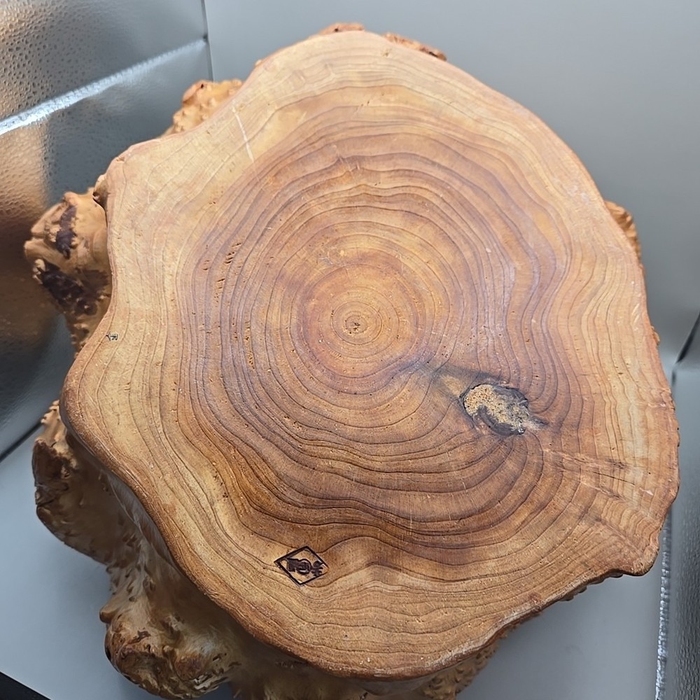 One Piece Solid Natural Burl Wood Handmade Bowl Basket Bumpy Wavy Rustic