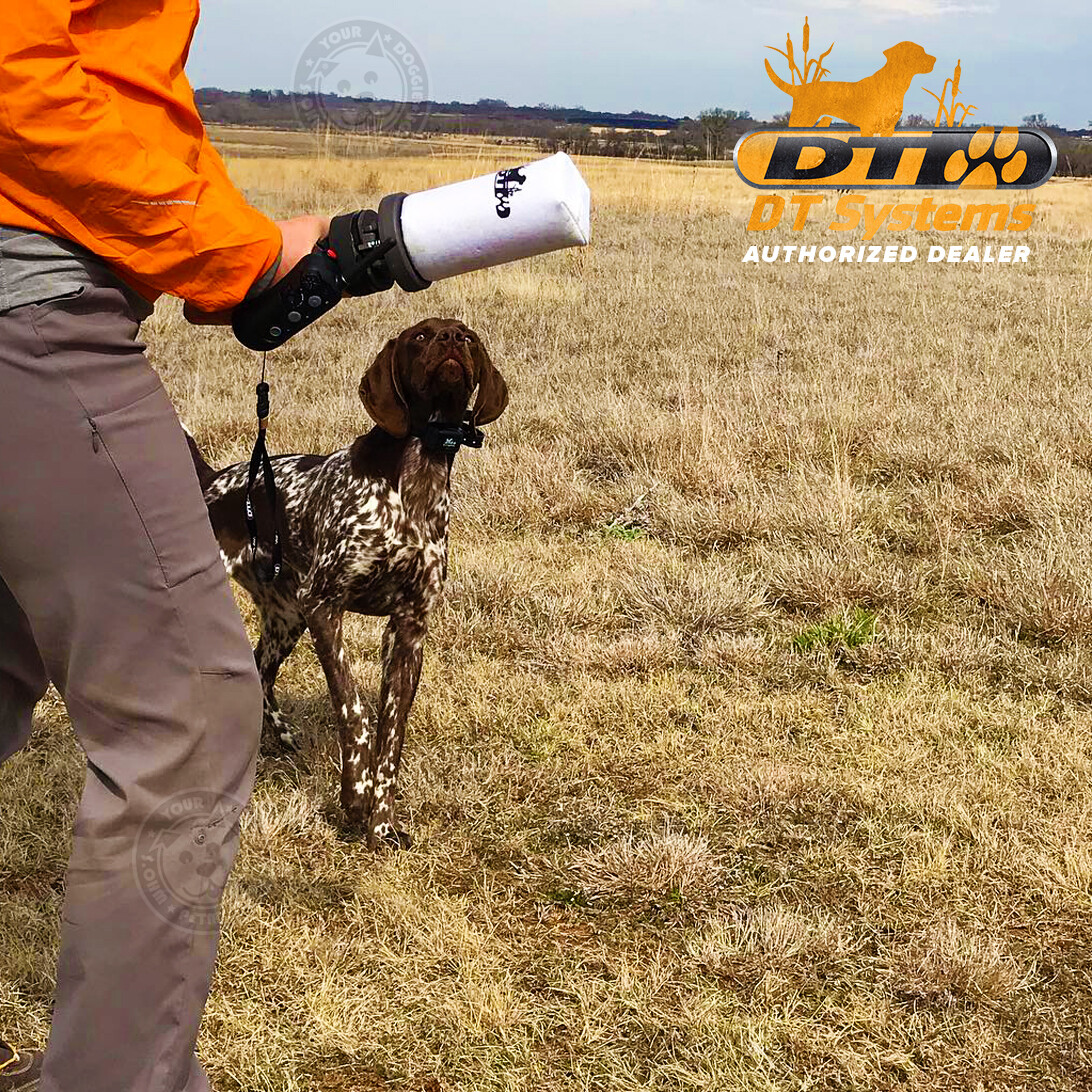 DT Systems Super Pro Dummy Launcher Hand Held Dog Training Kit Orange