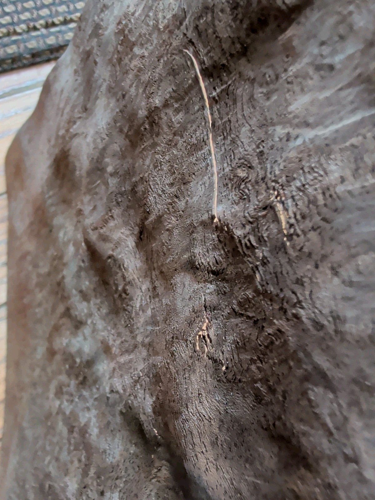 Walnut burl veneer 9 1/2" x 8 1/4" wood 1/42 raw +3 more pieces cracks buckled