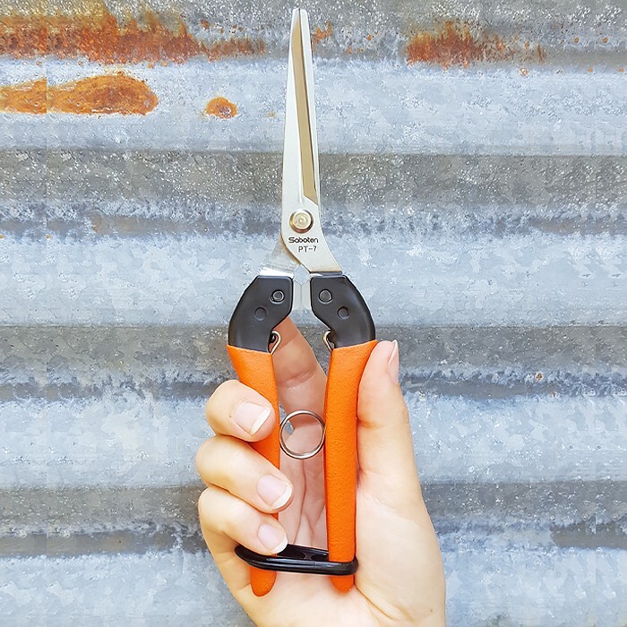 Saboten Shears PT-7