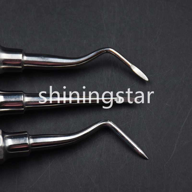 6 Pcs Dental Apical/Apex Elevator Extraction Root Elevator Left/Right/Straight