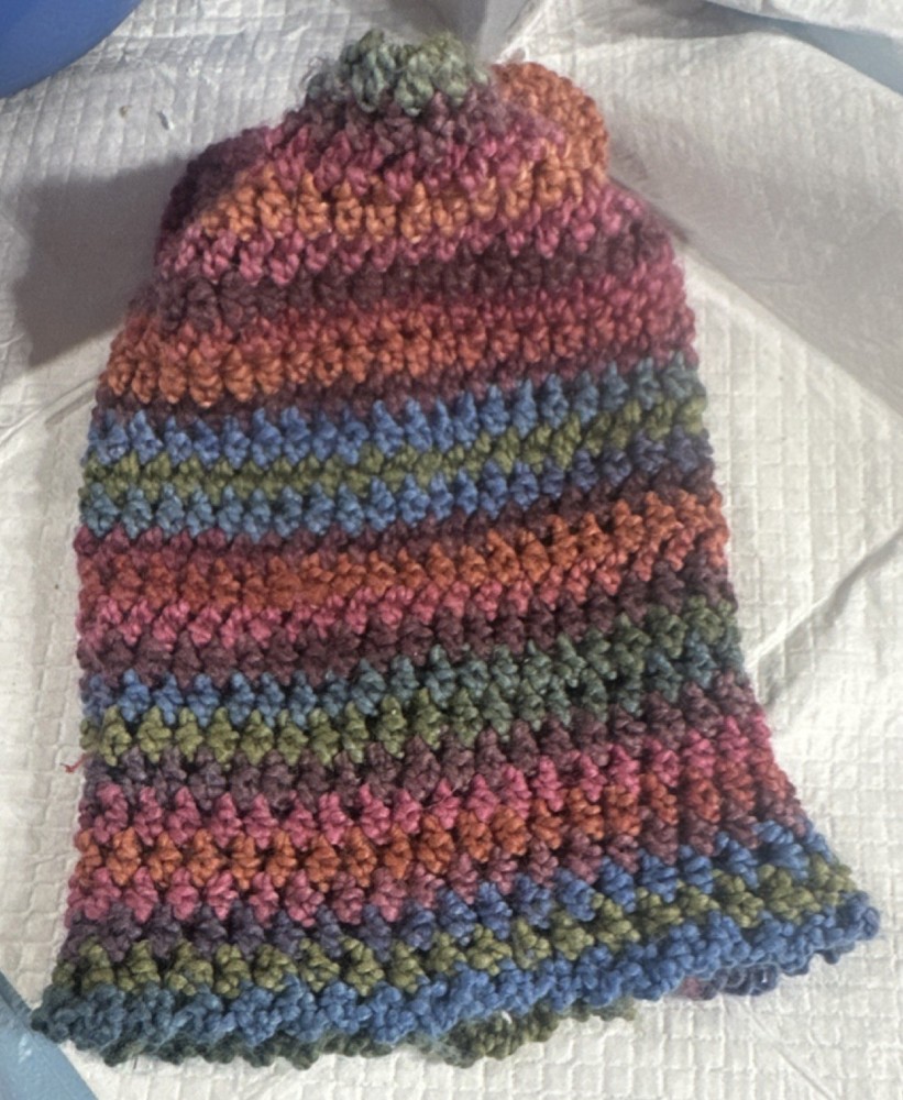 Handmade Multicolor Knit Hat with Bear Ears and Button Closure