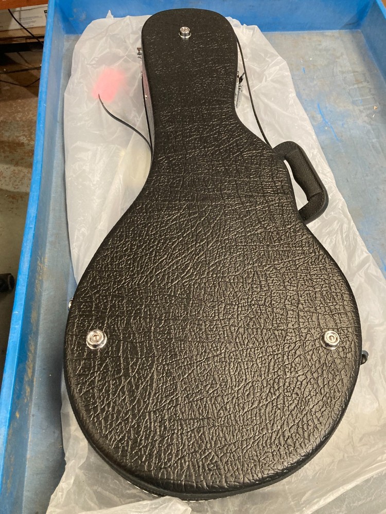 Taurus Mandolin TM-001 (Damaged case)