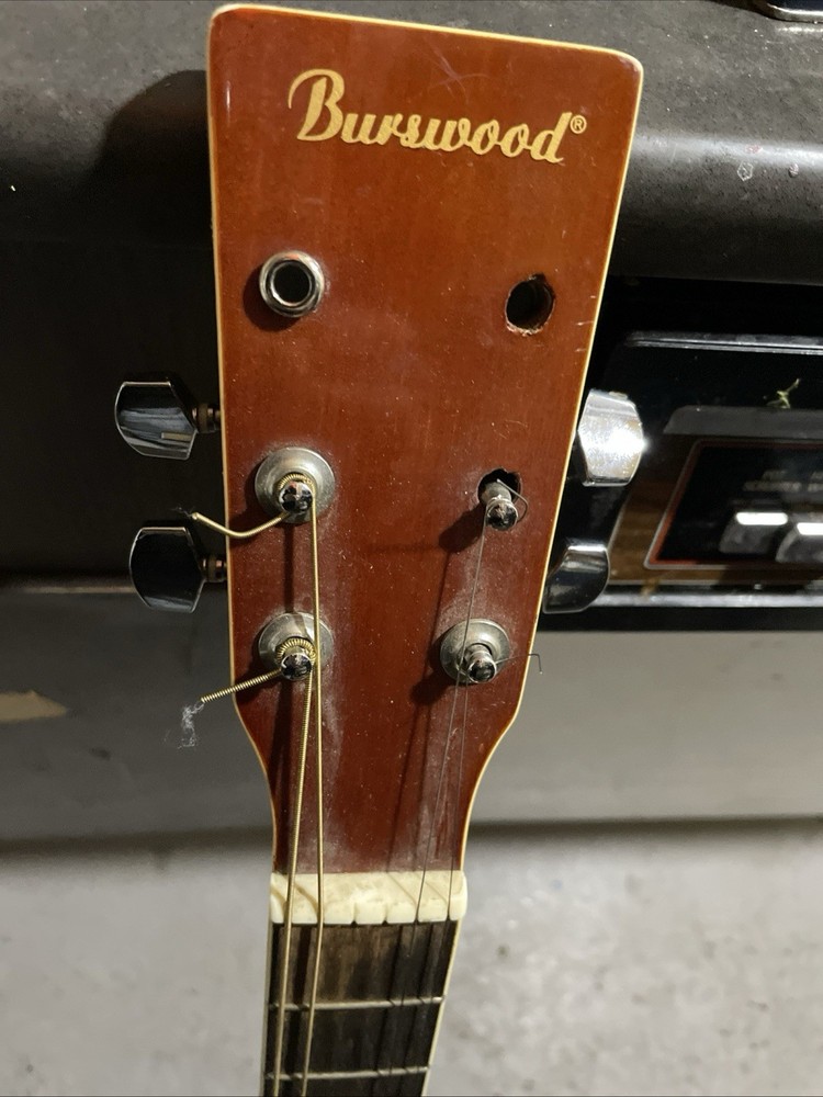 Beautiful Acoustic Guitar