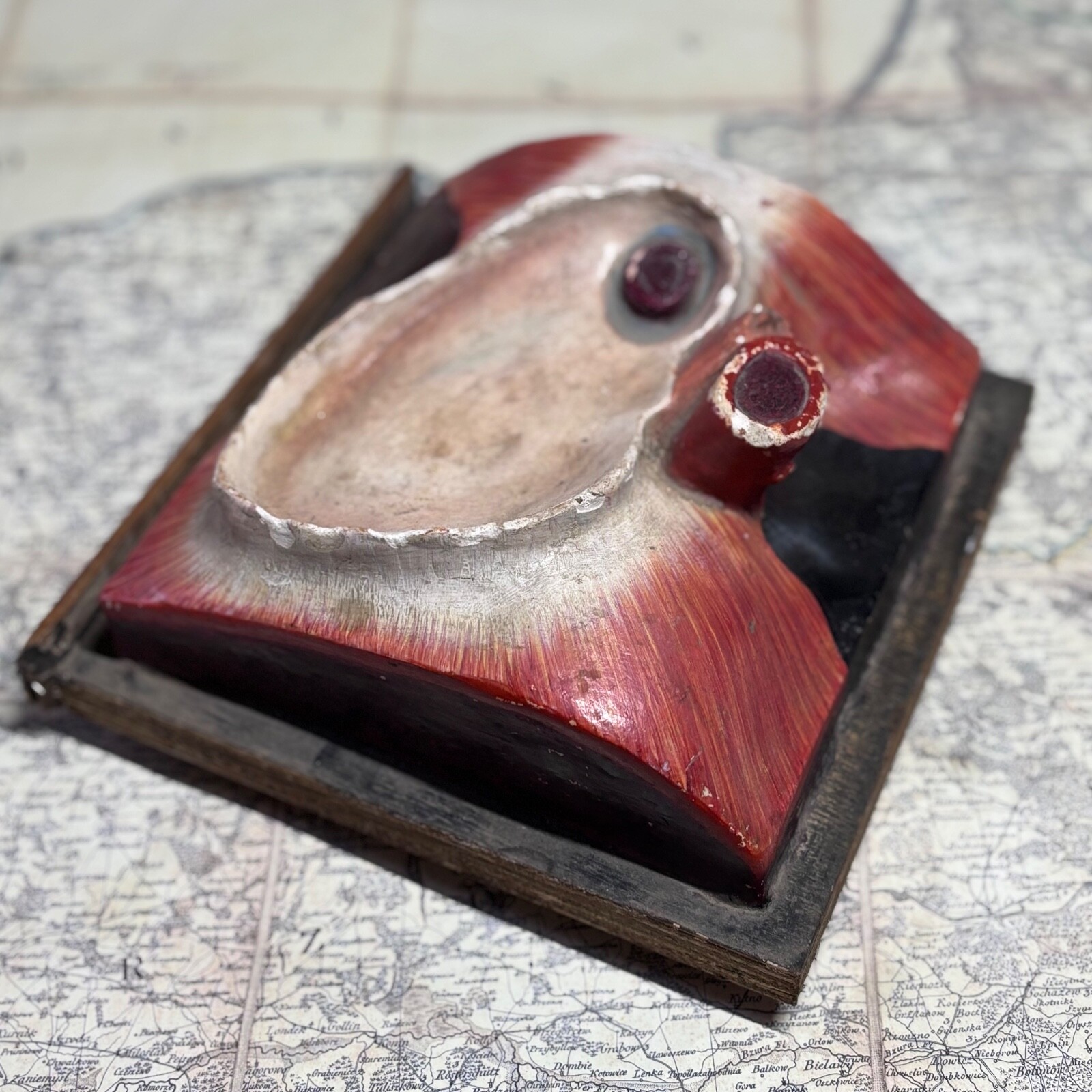 Rare 1930s Soviet Anatomical Model Dissectible Heart & Pelvic Vascular Section