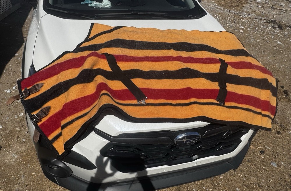 Shires Wool Blanket 78”