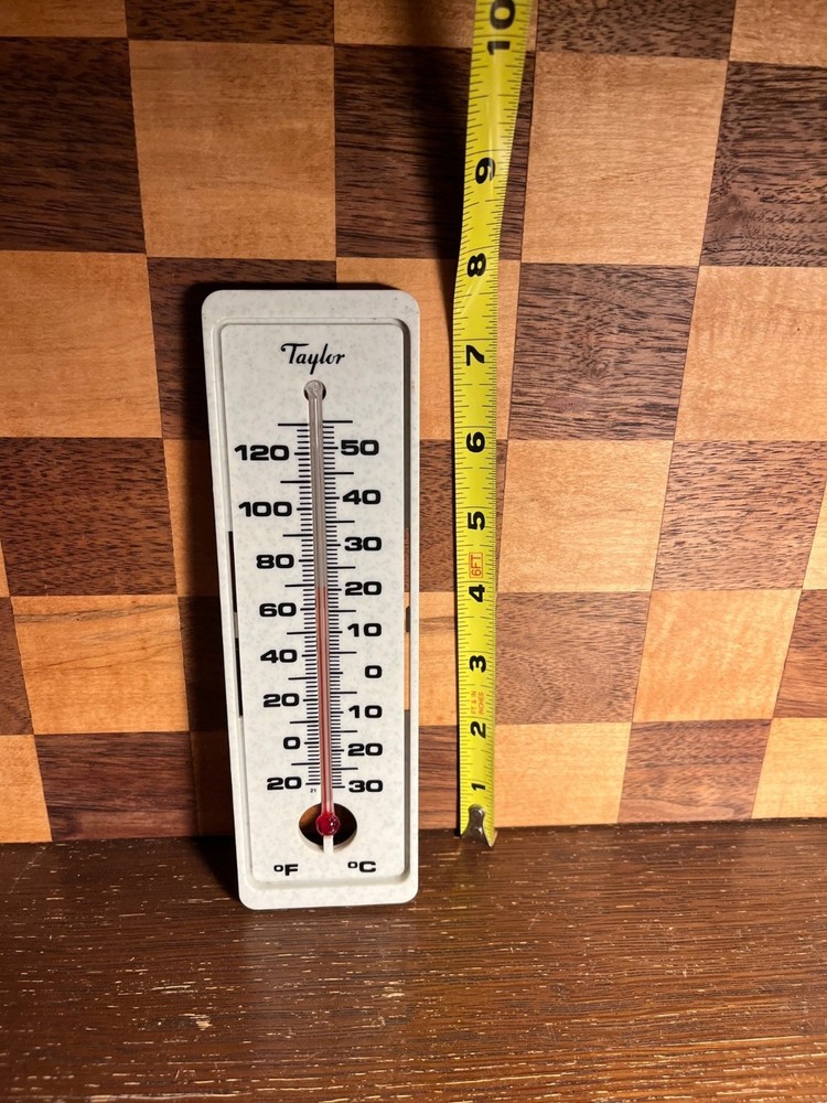Taylor Resin Wall Thermometer
