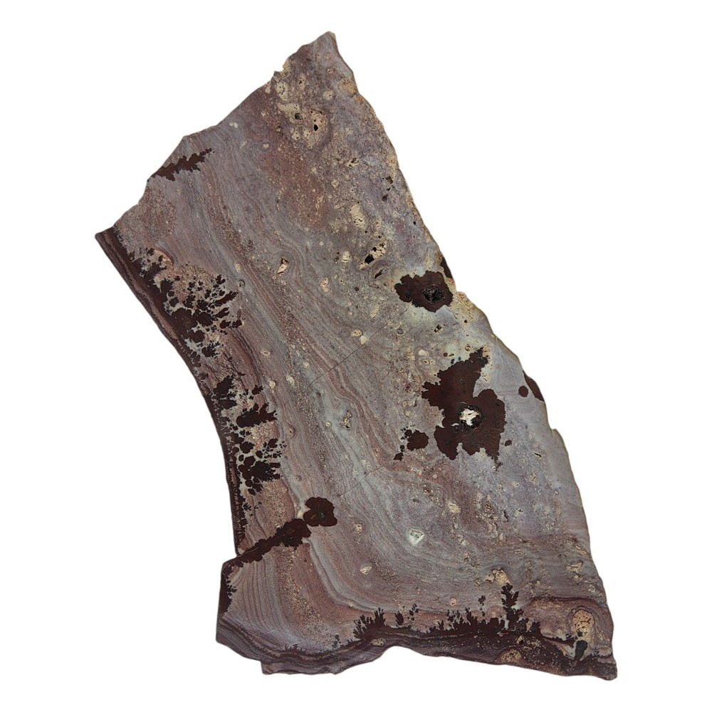 Apache Dendritic Rhyolite, Apache Sage, cabbing rough, #R-7031