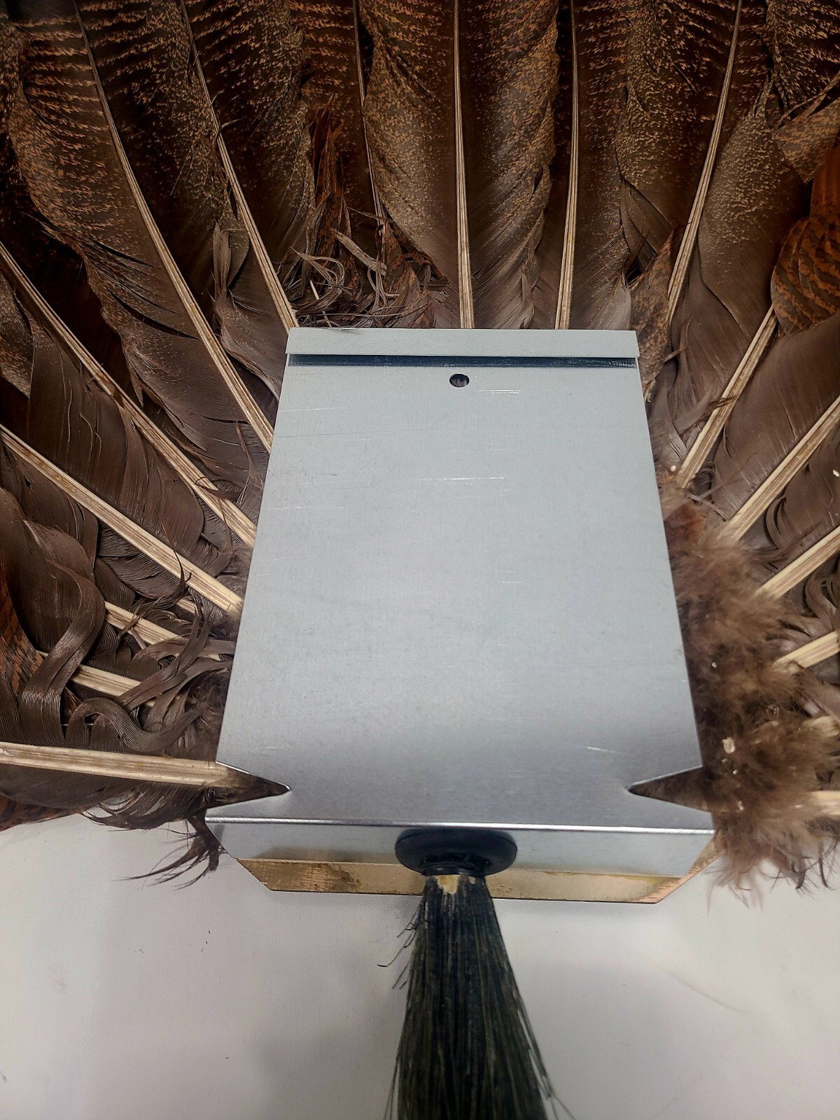 Walnut Turkey Fan Display Kit with Lazer Engraving