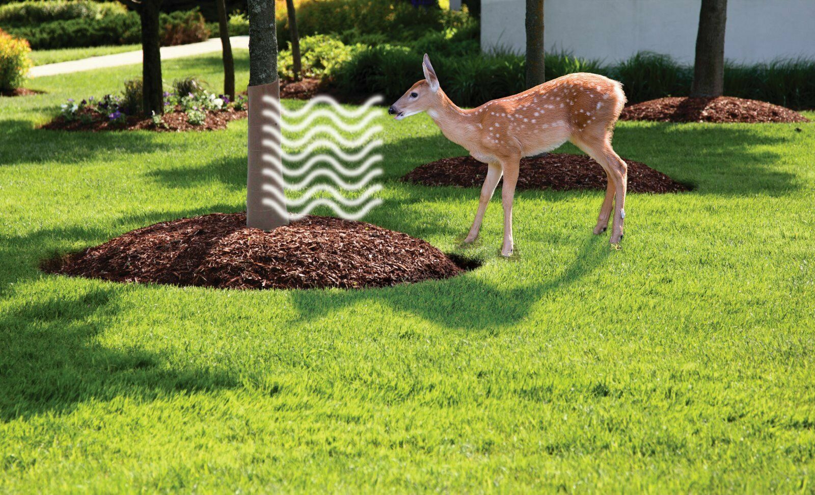 Vinyl Tree Guard Brown Wrap Protector W/Built in Repellent USA  QTY 3,6,12,35