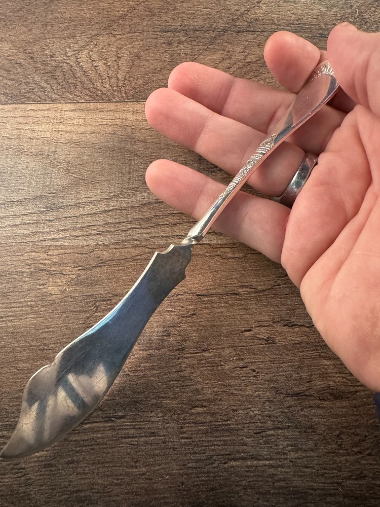 C. Rogers & Bros Ruby/Canton Pattern Master Butter Knife Silverplated