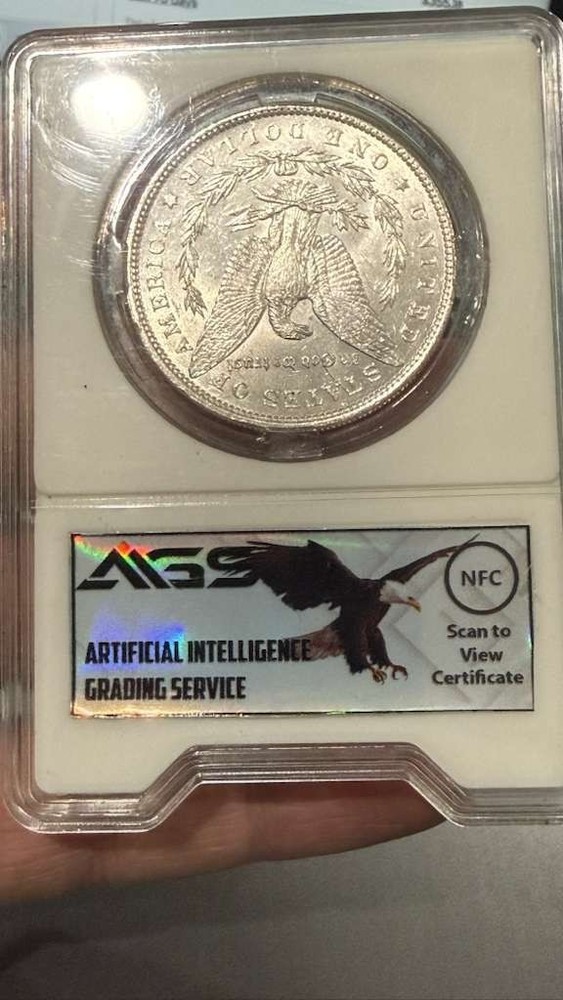 MORGAN ONE SILVER DOLLAR 1889-P
