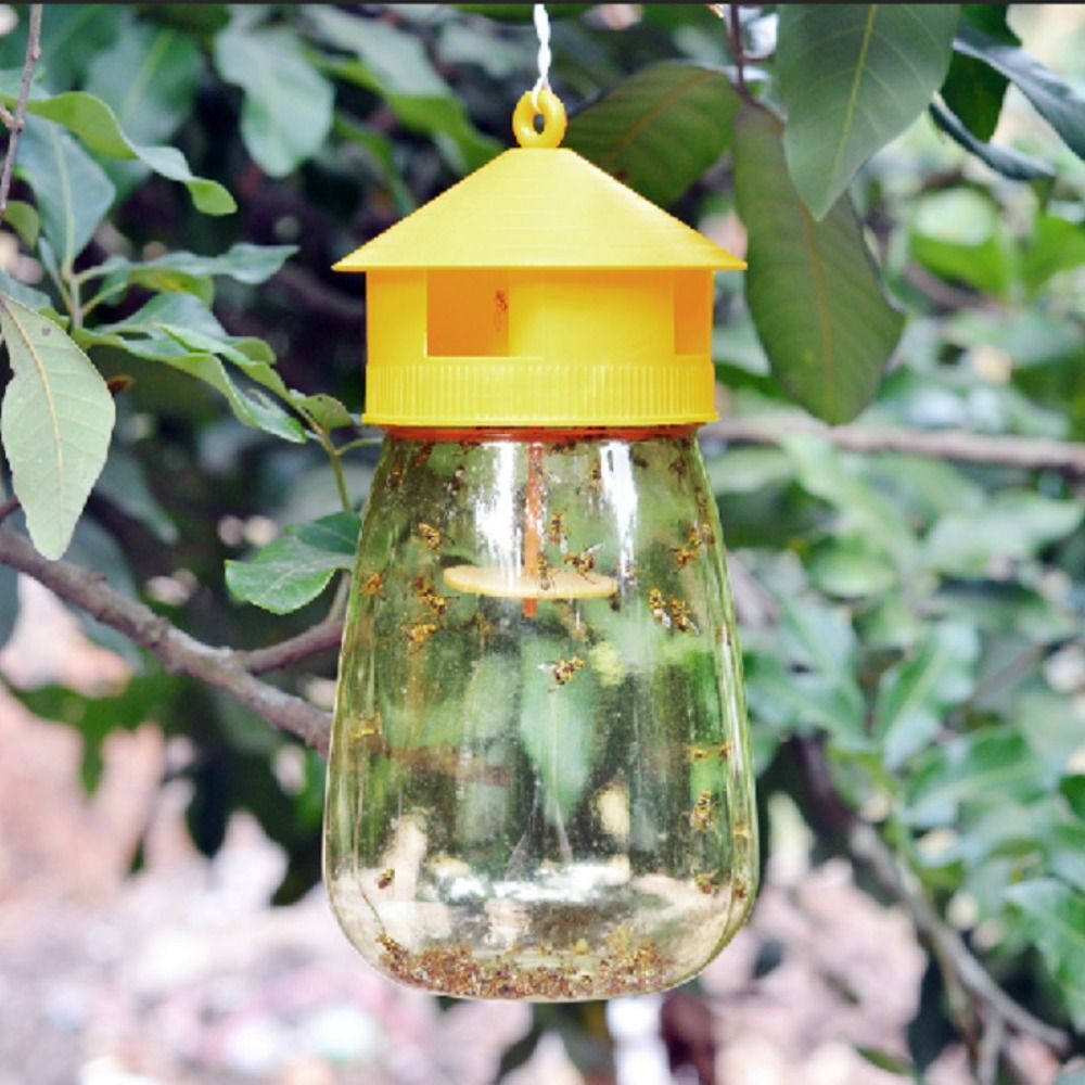 Fruit Fly Trap Killer Reusable Plastic Drosophila Trap Fruit Fly Trap Catcher