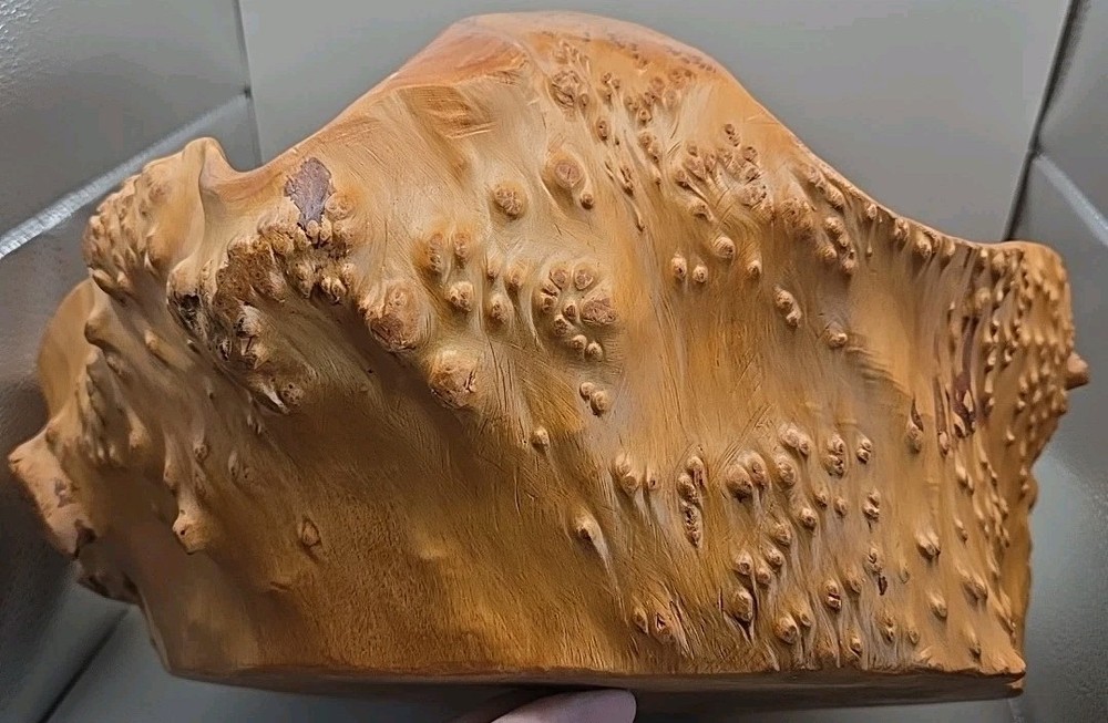 One Piece Solid Natural Burl Wood Handmade Bowl Basket Bumpy Wavy Rustic