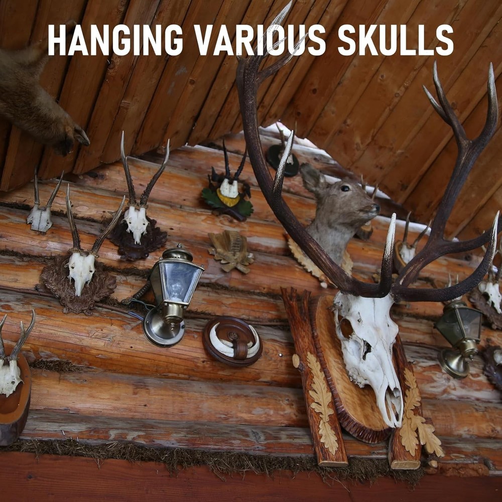 6-Pack Deer Skull Mount Hanger with Silicone Protector - Durable & Elegant