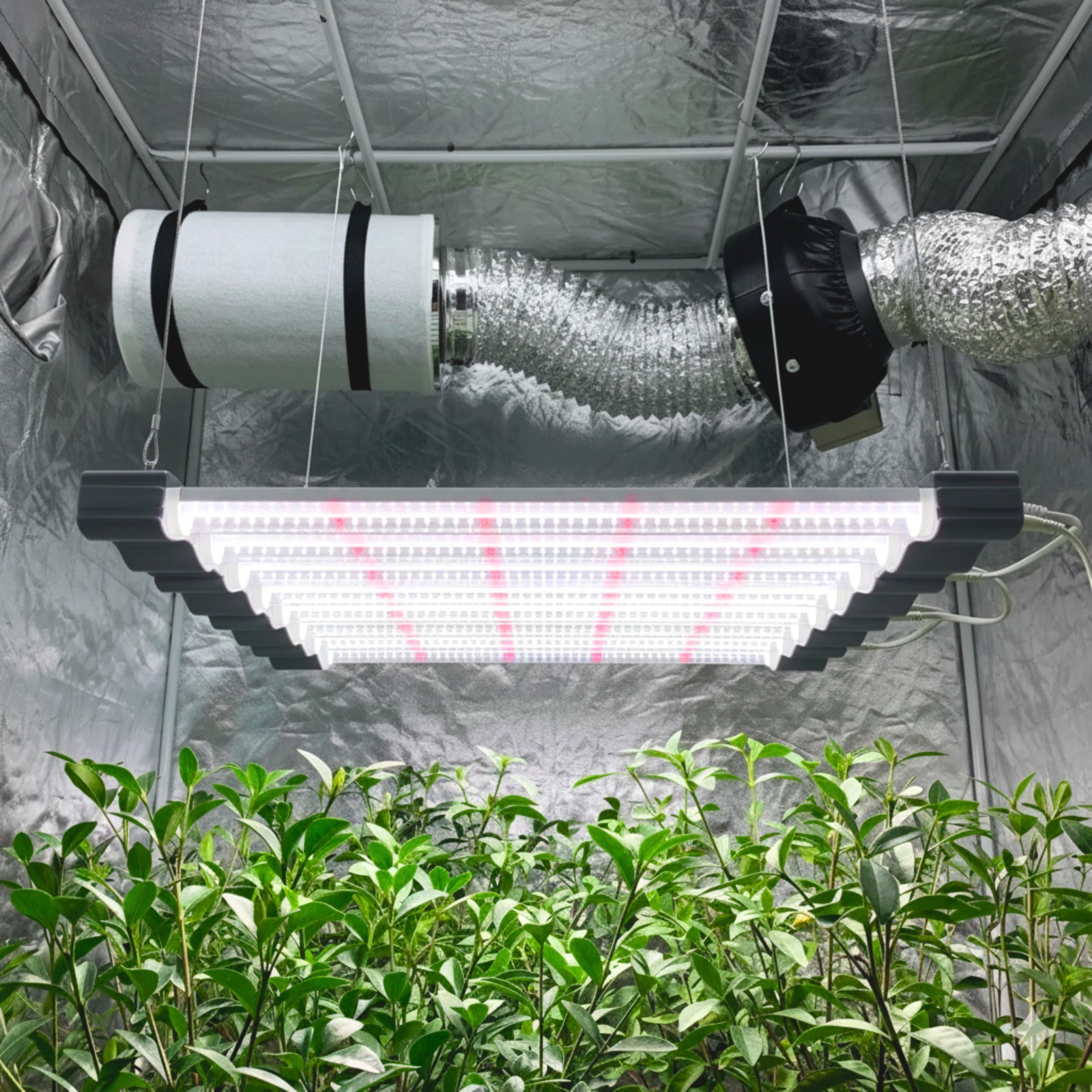 LED Grow Light Full Spectrum Linkable Seedling Veg Hydroponic Grow Lamp