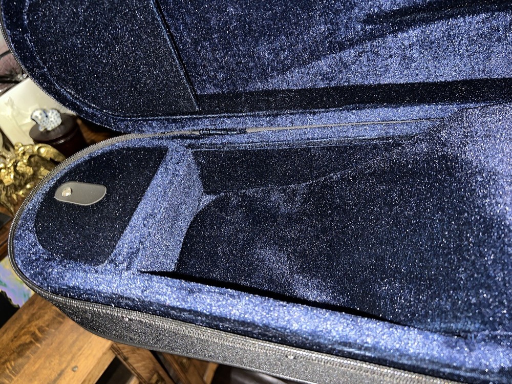 Aileen CSV102 Basic Lightweight Suspension Violin Black Zip Hard Case backpack