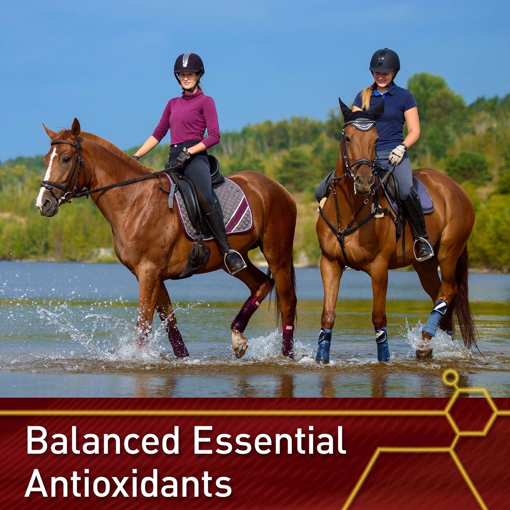 Pro E and Horse Selenium Supplement, Balanced Essential Antioxidants, 4 Pound...