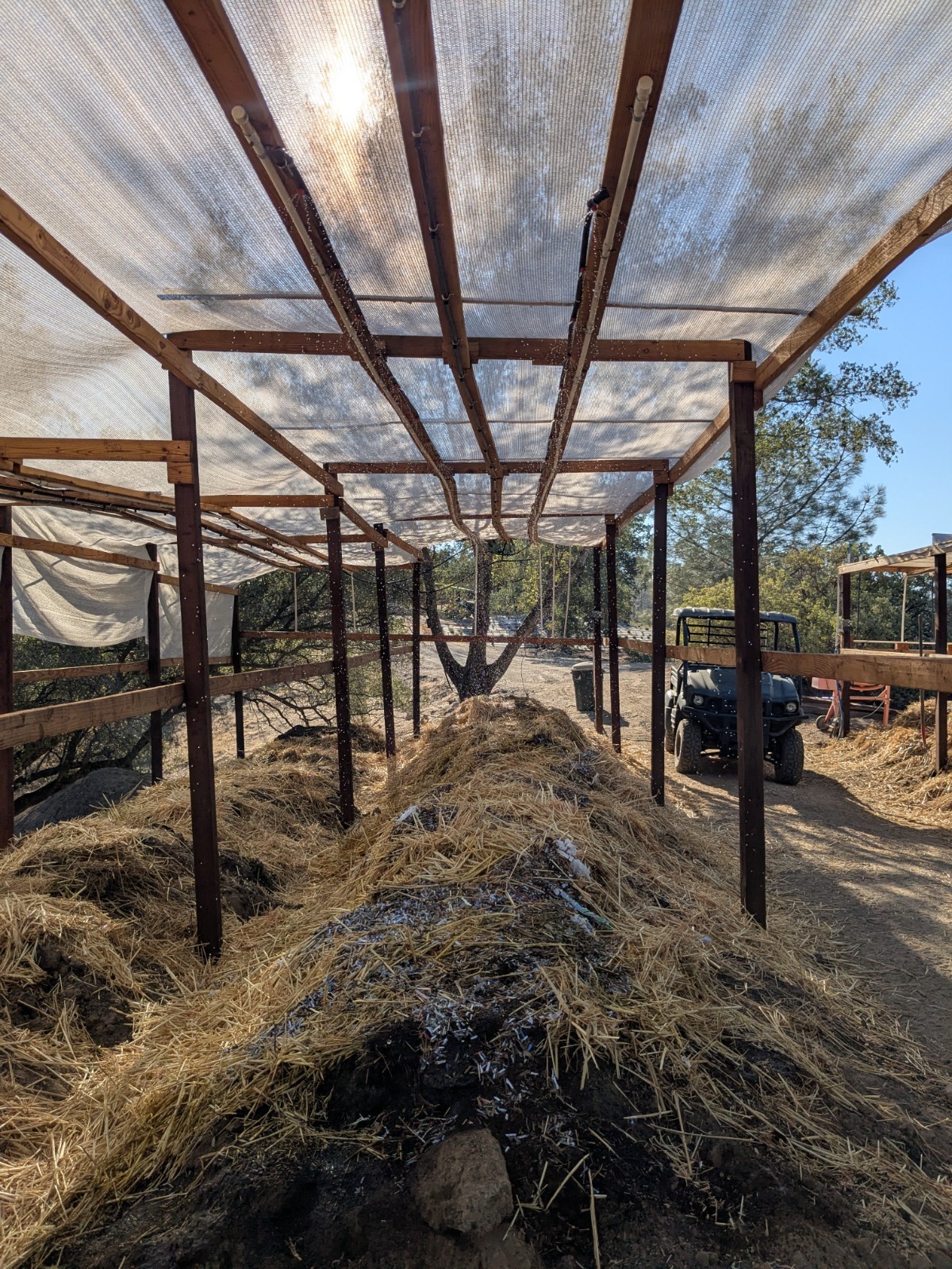 Live Red Wigglers 50Ct - Pure Eisenia Fetida - Fishing Bait - Pet Feed - Soil