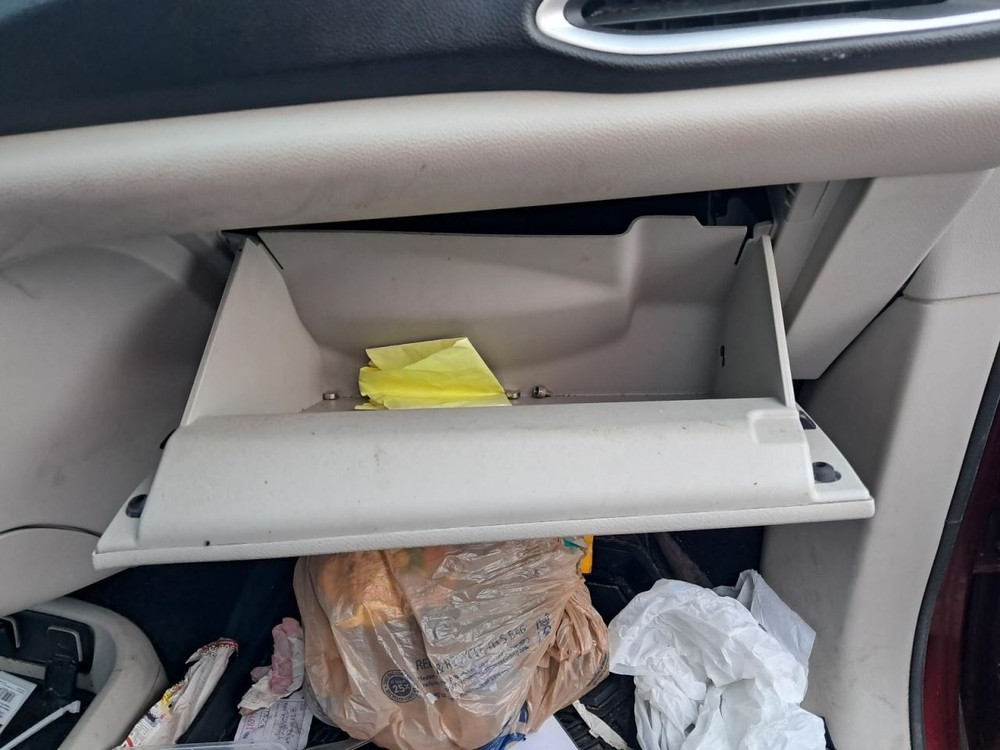 PACIFICA  2020 Glove Box 4738483