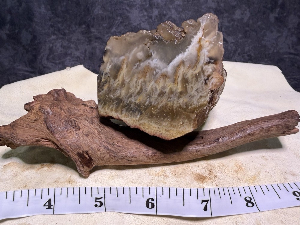 Faced Owyhee Plume Agate Rough, Lot#75