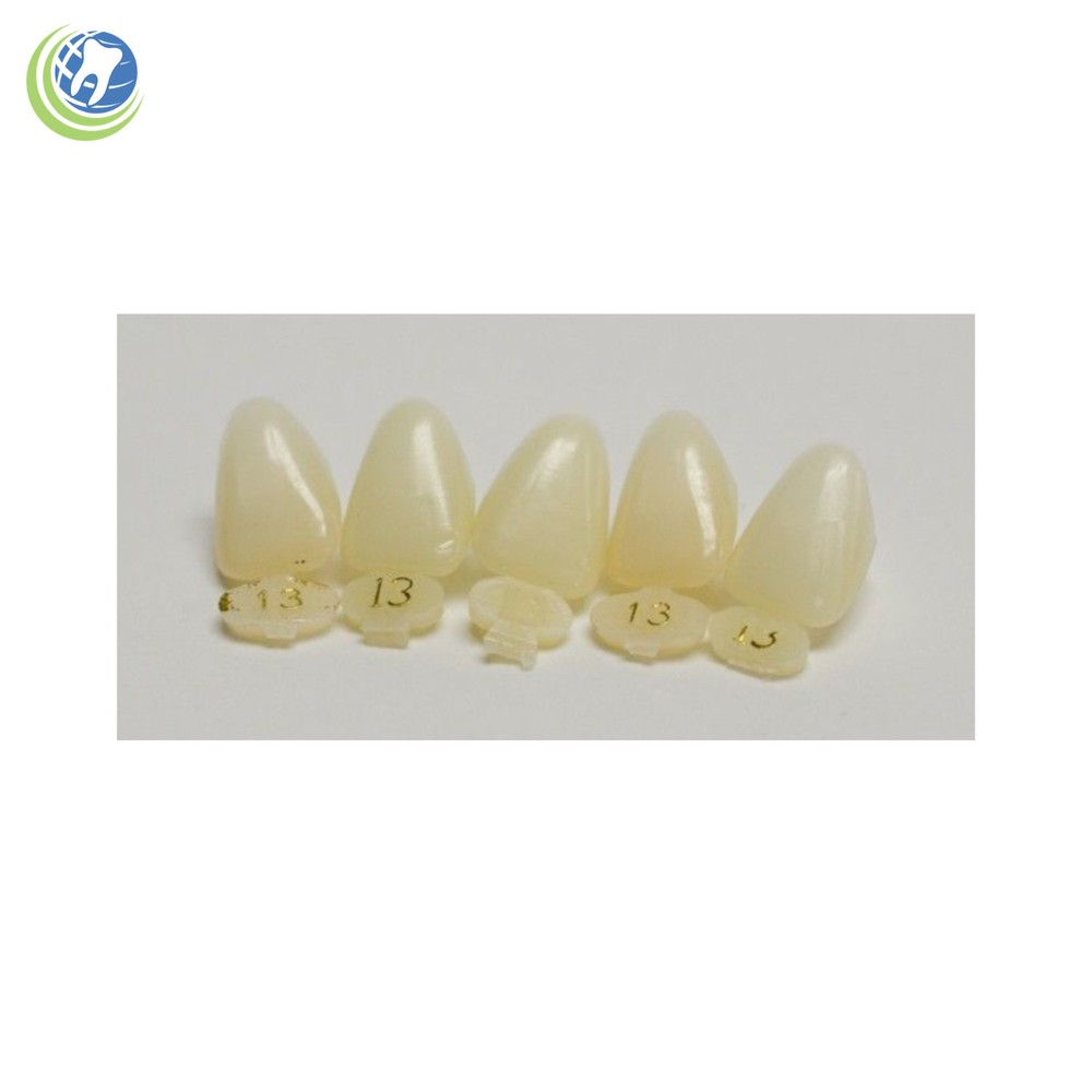 DENTAL POLYCARBONATE TEMPORARY CROWNS #13 (URC) UPPER RIGHT CENTRAL 5/PACK