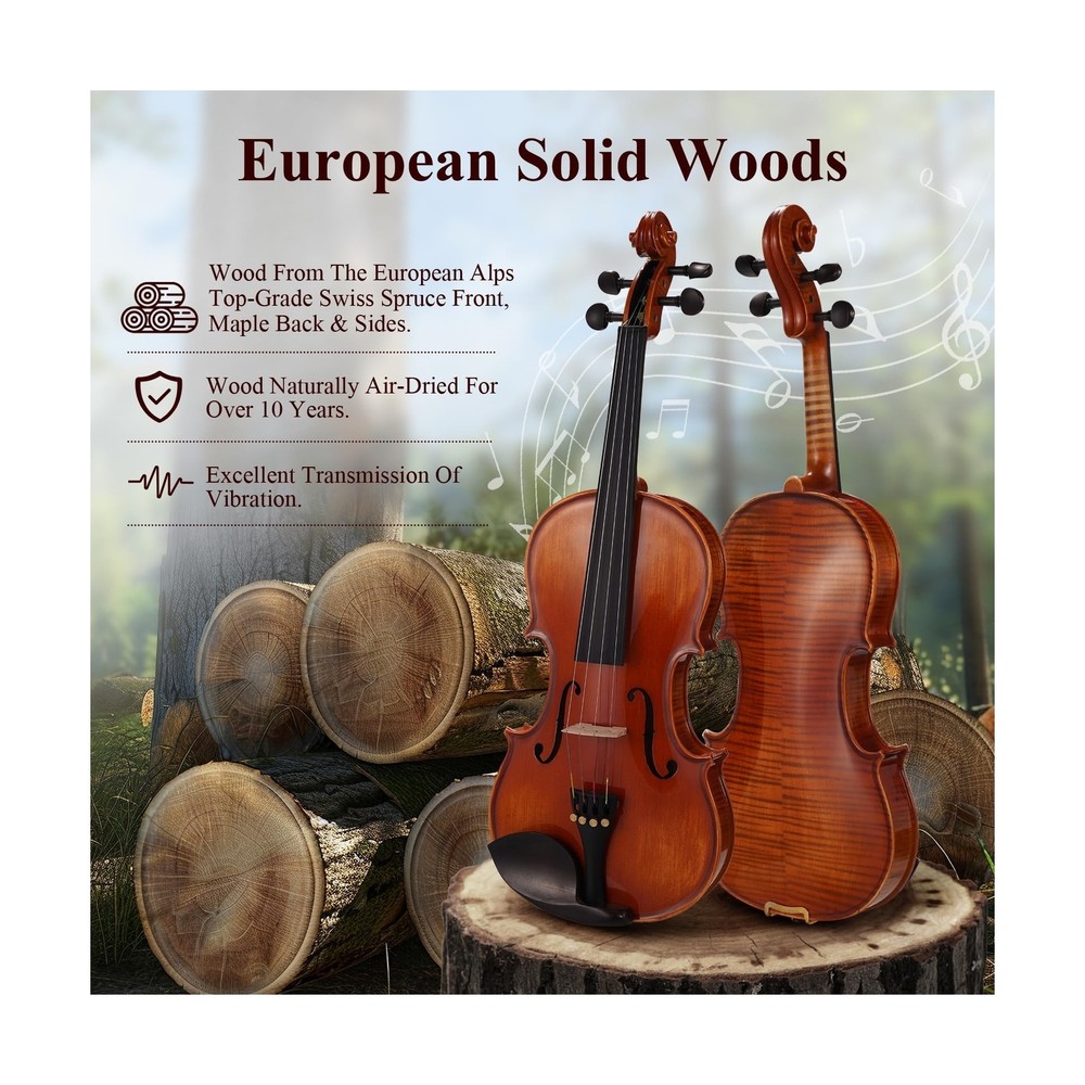 PHOENIX Violin 4/4 Full Size Set, Fiddle Solid Wood for professional Beginner...