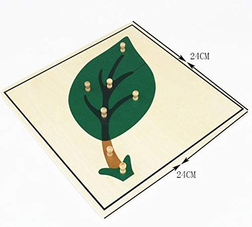 Materials Botany Puzzle Cabinet (3 Puzzles Included)