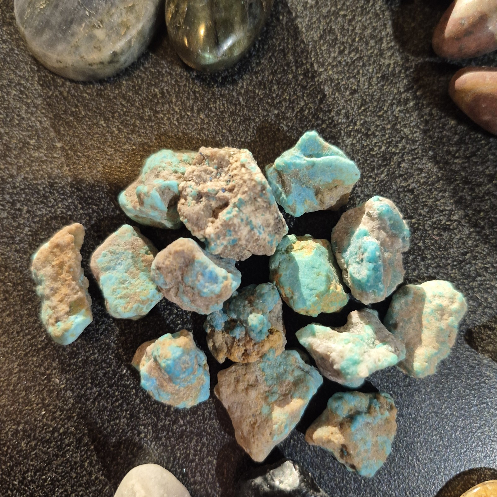 Ammonite Fossils, Crystals, Mineral Specimens, Shells, Cabochons Mixed Lot