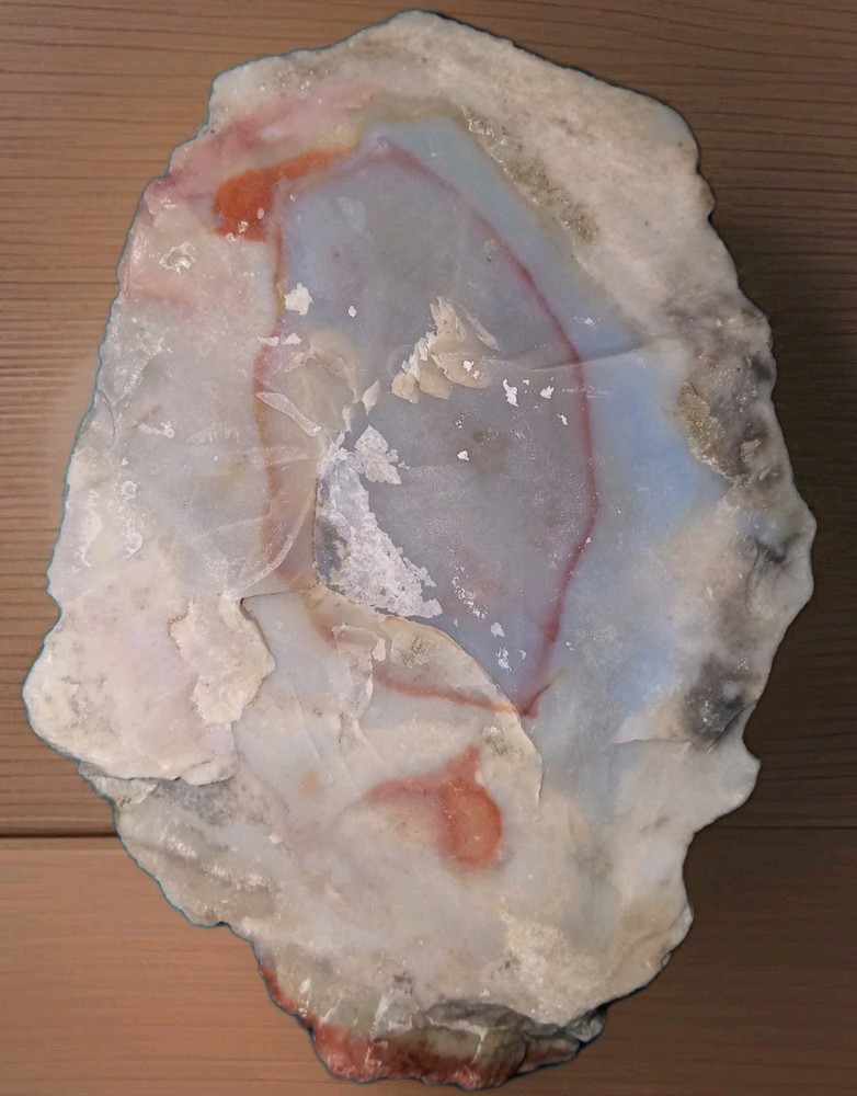 Petrified Wood Rough w Bark 220g