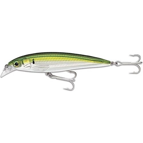 Rapala X-Rap Saltwater 10 Pilchard One Size, Multi