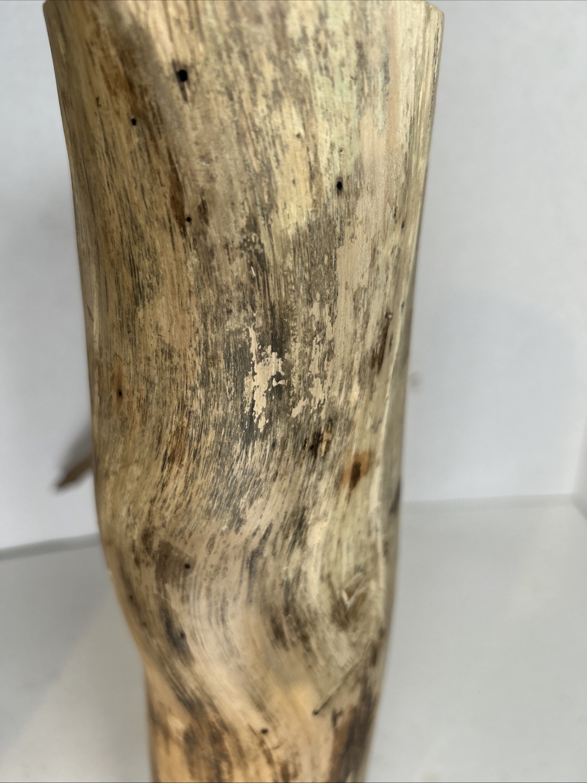 Driftwood¡ 2 Piece Set Cedar Taxidermy Beach Mountain Wedding 1 White Outside