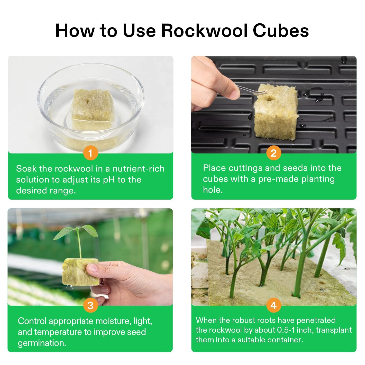 VIVOSUN 1"/1.6" Rockwool Cubes Stonewool Starter for Rooting, Cutting Plants