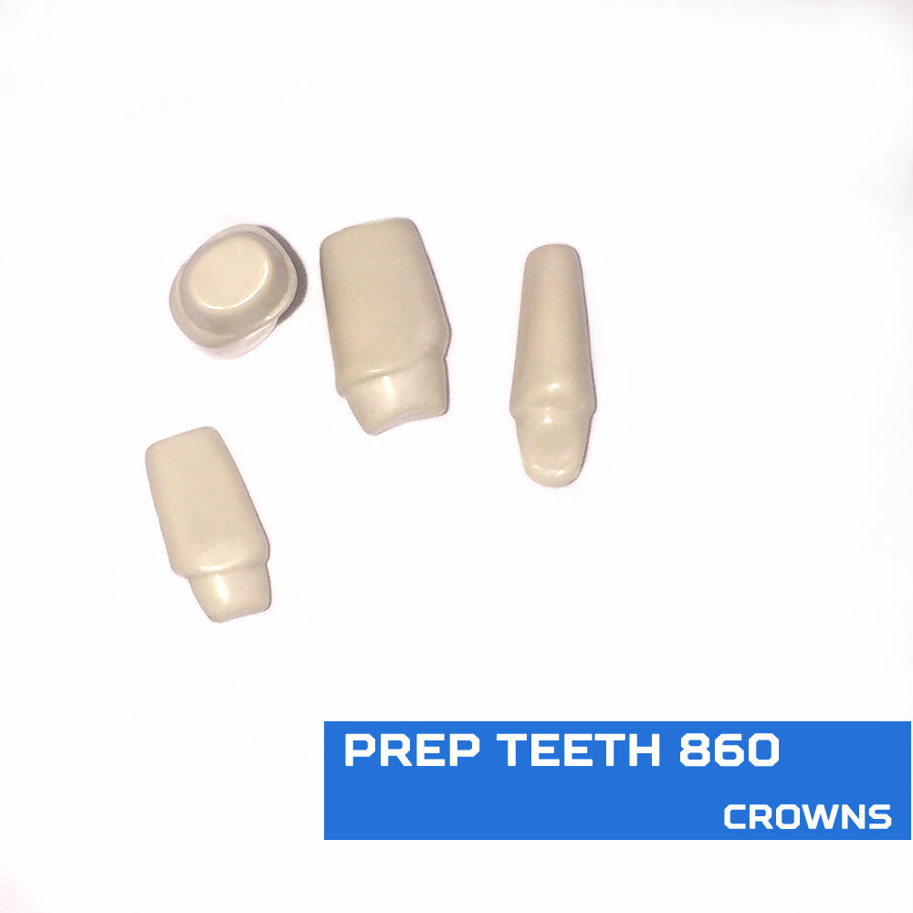 Replacement Teeth Typodont 860 (5 pack) Compatible With Columbia Brand