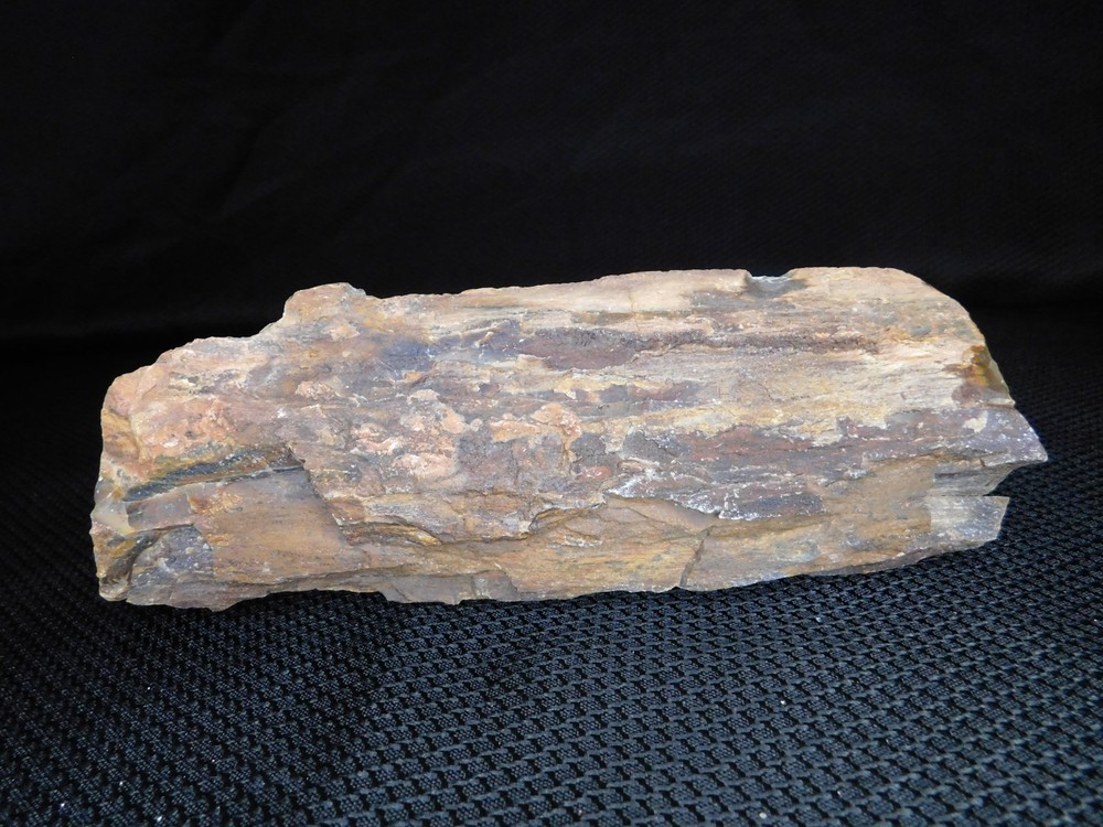 Petrified Wood Stick 1 lbs. 14oz.