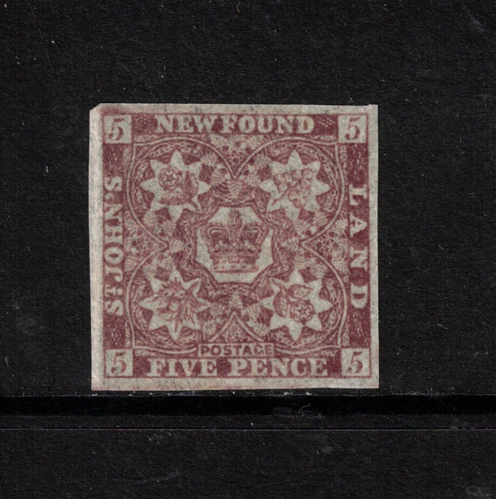 Newfoundland #19 Very Fine Never Hinged