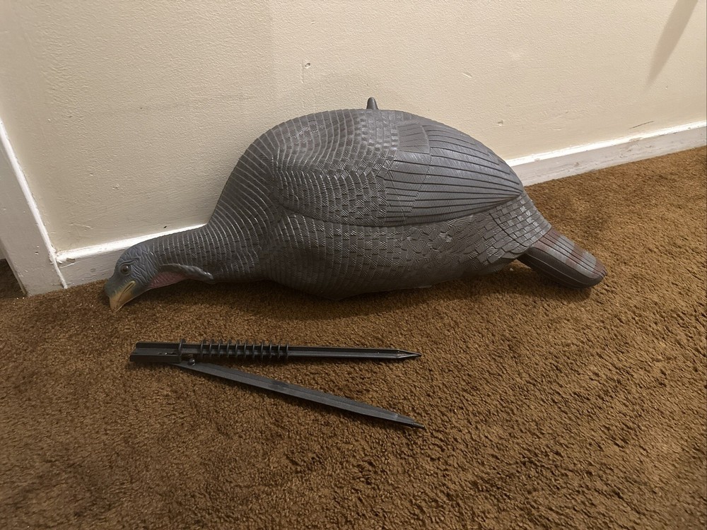 turkey decoy used