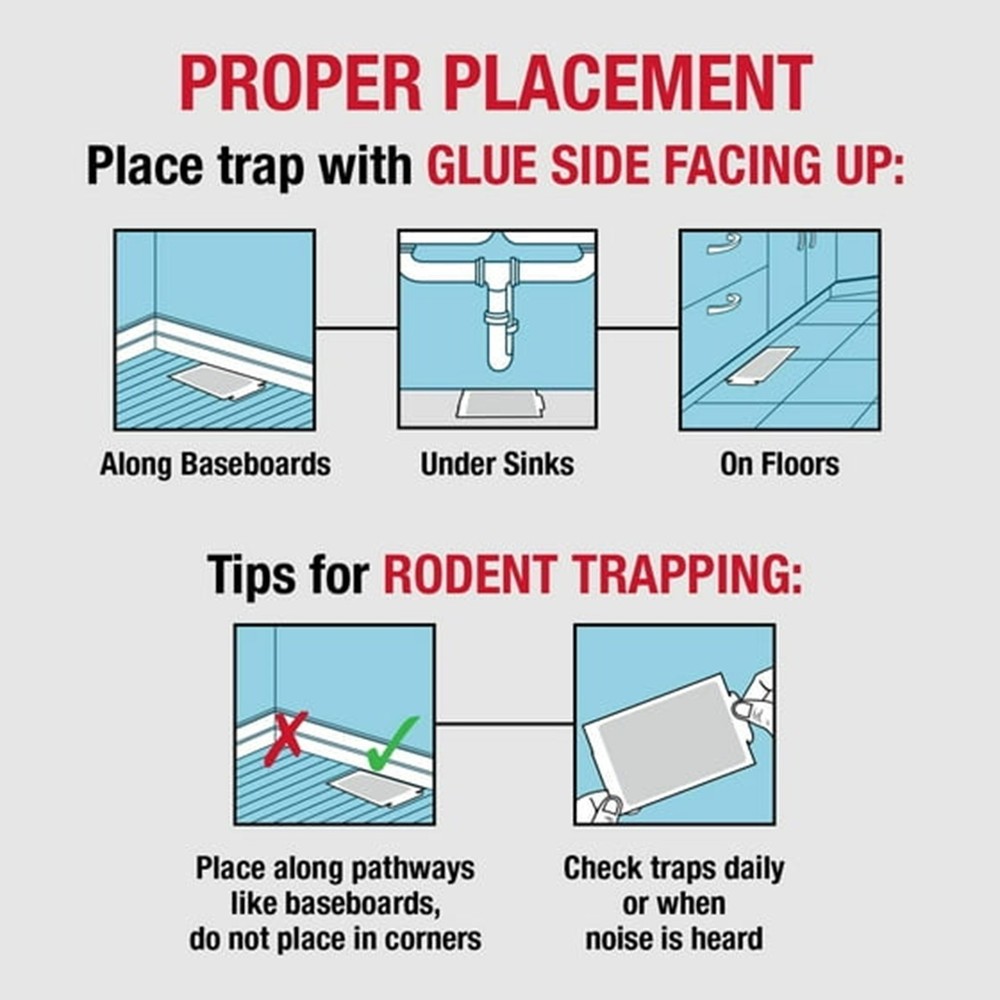 **Mouse Glue Board Traps 4ct - Safe Indoor Pest Control Strips**