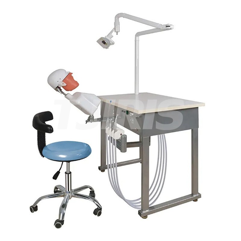 Dental Practice Simulator System Teaching Device Patient Manikin Phantom Model