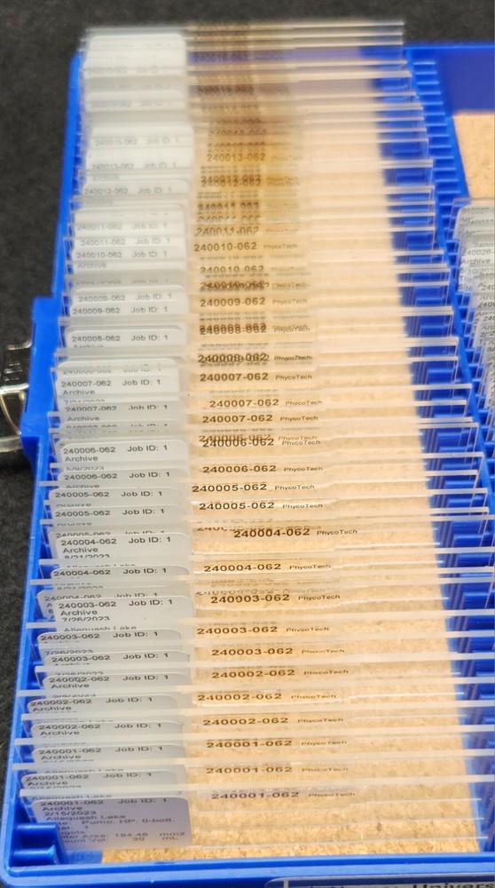 New Microscope Slides