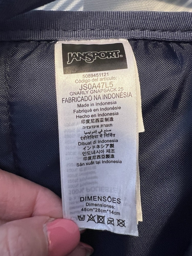 JANSPORT Gnarly Gnapsack 25 Blue & White Ripstop Backpack