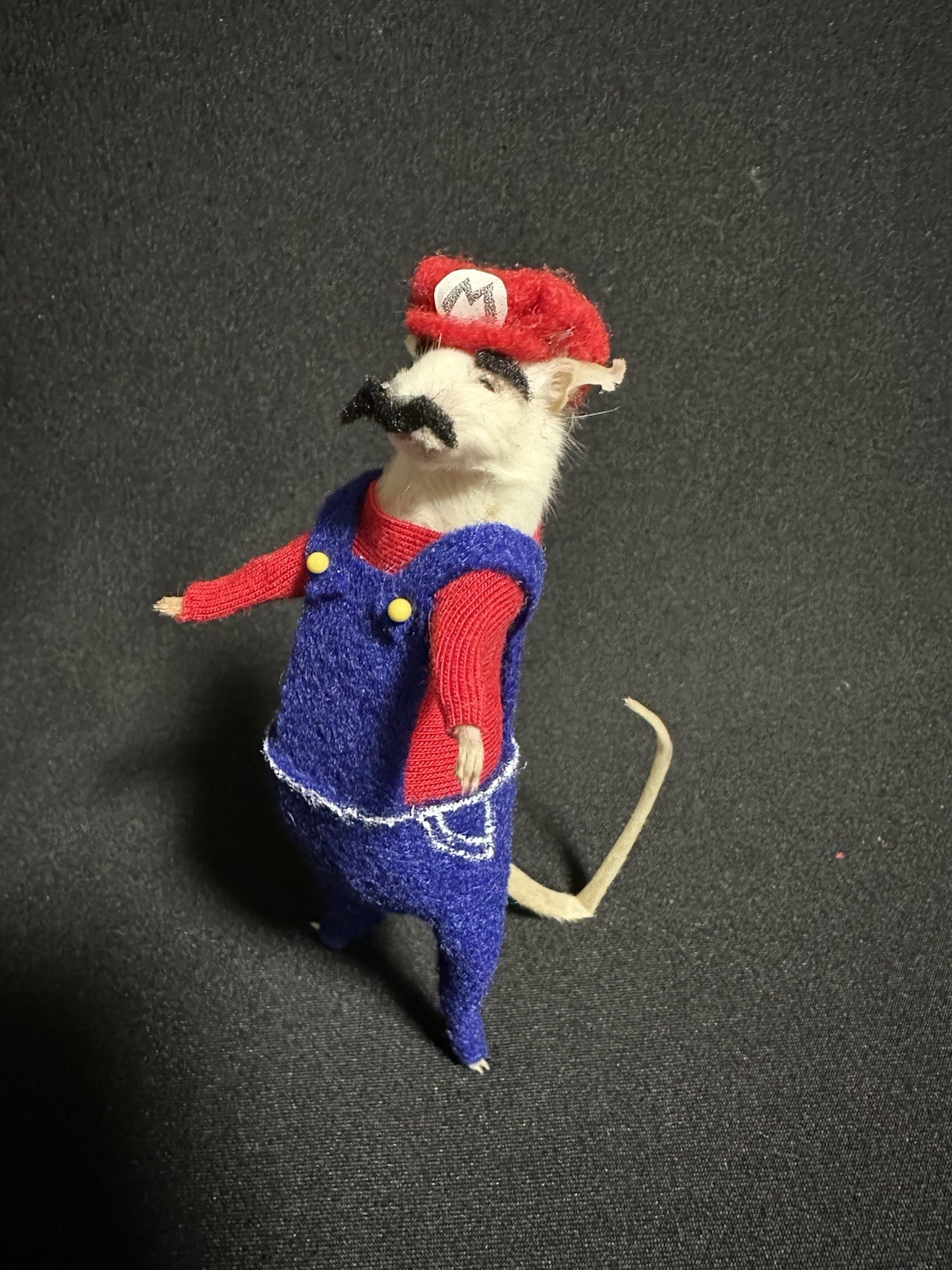 Taxidermy Mouse Super Mario Mouse Oddities Curiosities Taxidermy Art